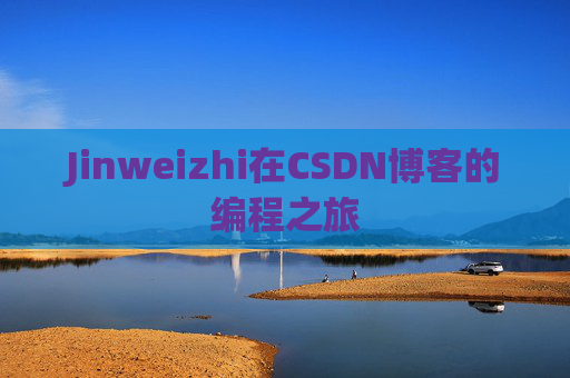Jinweizhi在CSDN博客的编程之旅